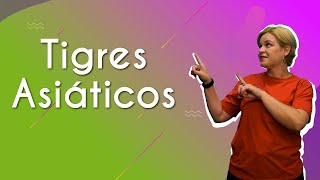 Professora ao lado do texto"Tigres Asiáticos".