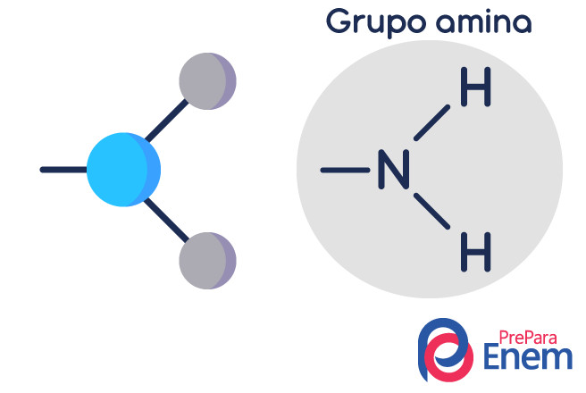 Representação da estrutura de uma molécula do grupo amina.