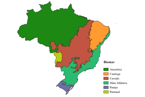 Mapa do Brasil por biomas