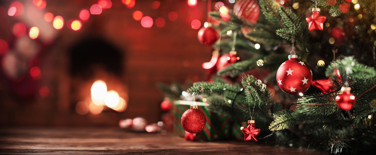 As bolas da Árvore de Natal surgiram no século XIX, na Alemanha.