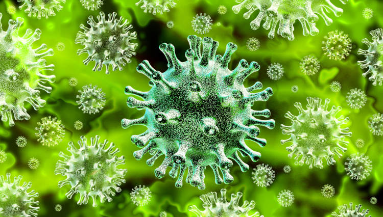 Os coronavírus apresentam estruturas em sua superfície que lembram uma coroa, quando vistos no microscópio.