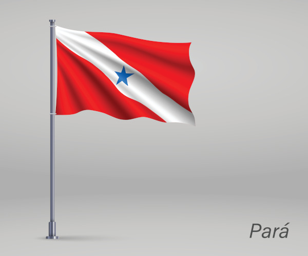 Bandeira do Pará. 