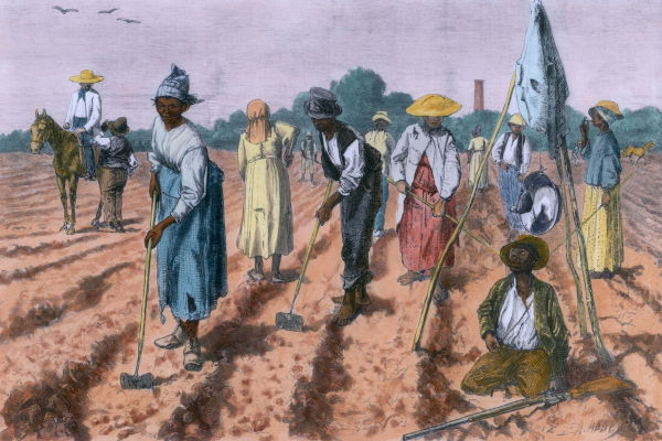 Com a Lei Áurea, estima-se que cerca de 700 mil negros escravos tenham conquistado a sua liberdade.