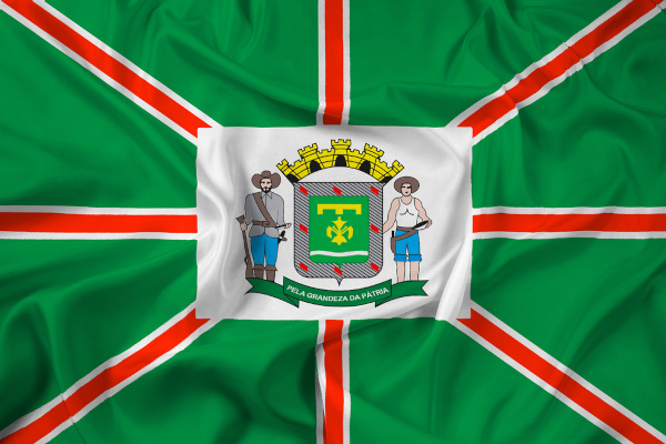 Bandeira de Goiânia