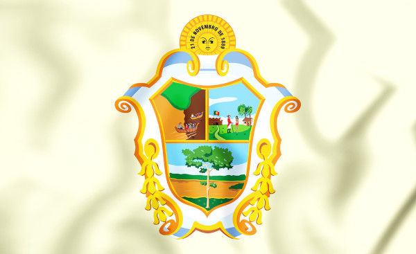 Bandeira de Manaus.