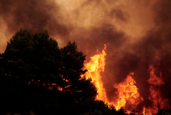 Apagar O Fogo Com Um Balde De água. Incêndios Florestais No Verão