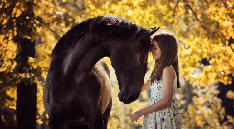 Uma menina com o rosto próximo ao de um cavalo com a folhagem característica do outono ao fundo.