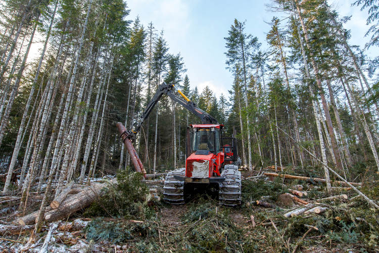 Máquina agrícola retirando madeiras em um processo de desmatamento.