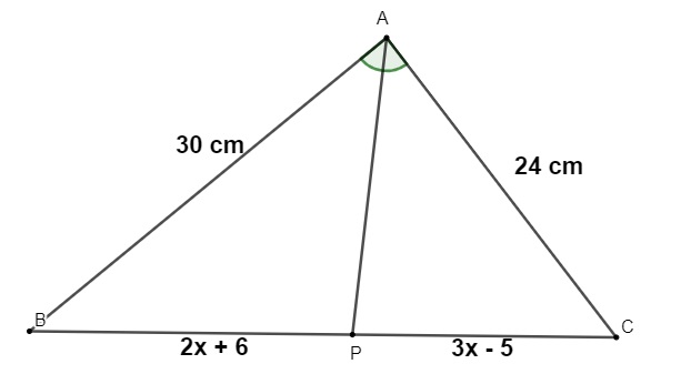 Ilustração de um triângulo de lados com 30 cm, 24 cm e 2x + 6 + 3x – 5 cm.