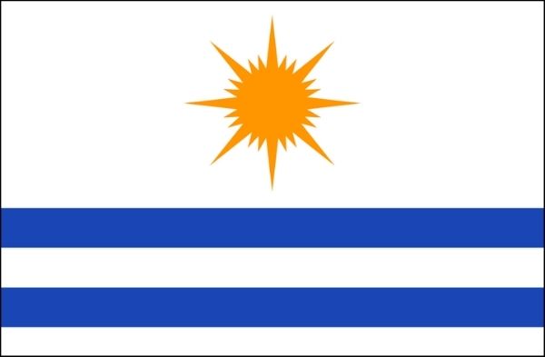 Bandeira de Palmas