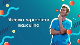 Professor ao lado do texto"Sistema reprodutor masculino"