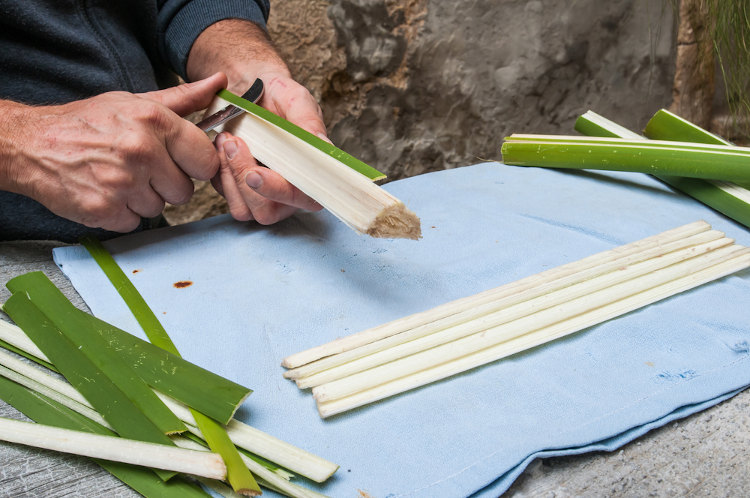 Pessoa cortando tiras da planta do papiro e colocando-as em ordem sobre tecido da cor azul