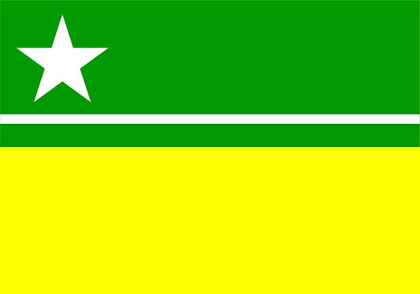 Bandeira de Boa Vista.