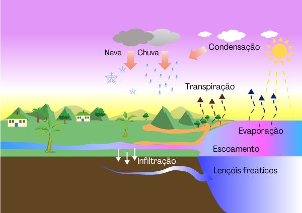 ciclo del agua completo