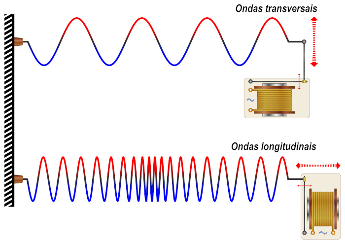  Esquema ilustrativo exemplificando o formato de ondas transversais e longitudinais.