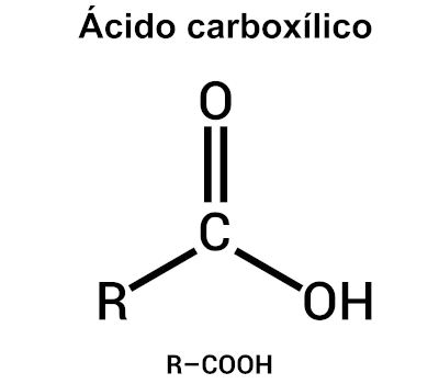 Ácido carboxílico, um grupo funcional orgânico que possui a hidroxila em sua estrutura.