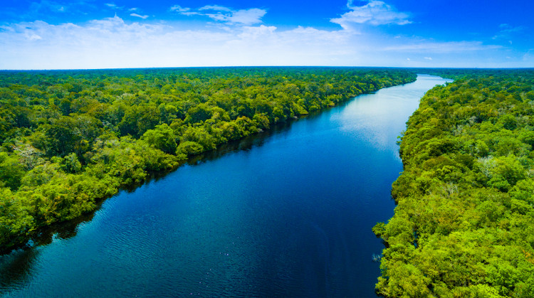 Vista de rio no meio da Floresta Amazônica.