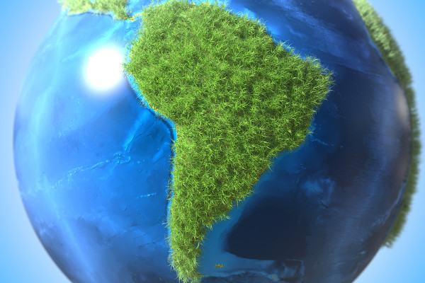 Território do Brasil no globo terrestre preenchido por vegetação.