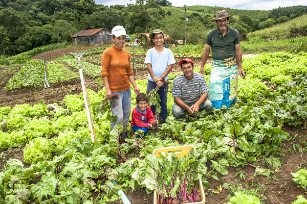 Família reunida em uma plantação feita na modalidade de agricultura familiar.