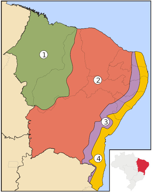 Mapa com as 4 sub-regiões do Nordeste brasileiro: meio-norte, sertão, agreste e zona da mata.