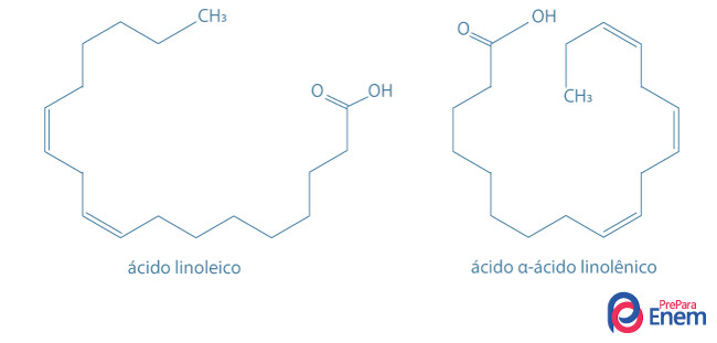 Estruturas do ácido linoleico (ômega 6) e do ácido α-ácido linolênico (ômega 3).