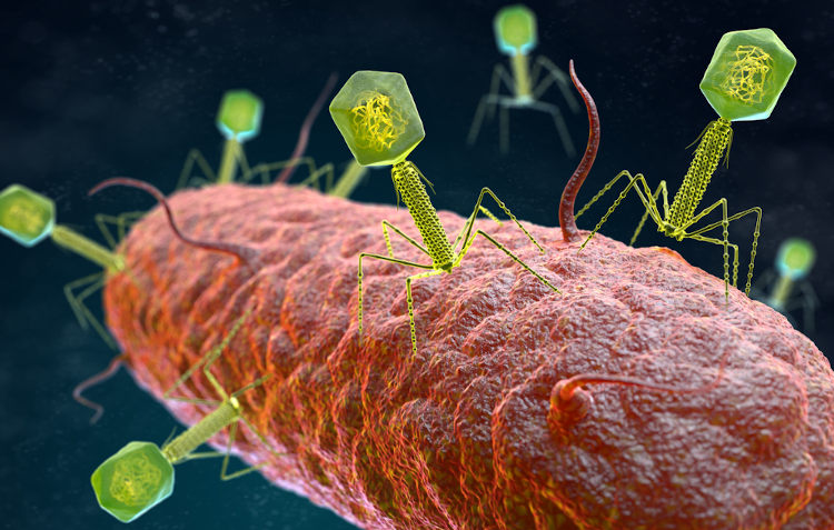 Vírus bacteriófago infectando uma bactéria.