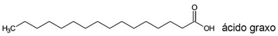 Estrutura química de ácido graxo