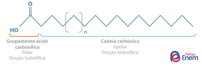 Estrutura geral dos ácidos graxos. A letra “n” indica a quantidade de átomos de carbono na estrutura 