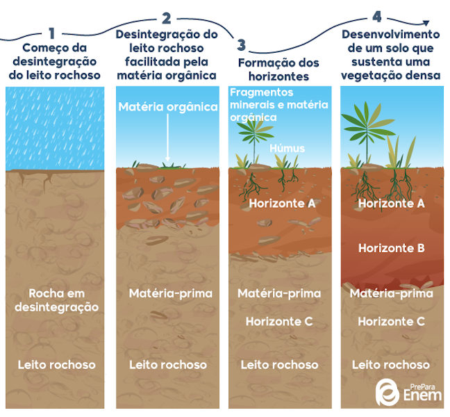 Ilustração do processo de formação de um solo.
