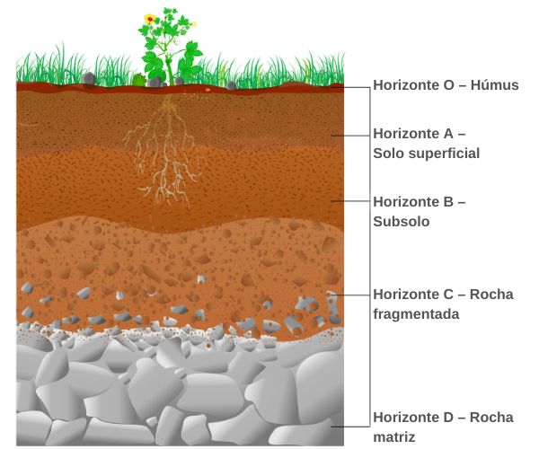 Ilustração dos horizontes ou camadas dos solos.