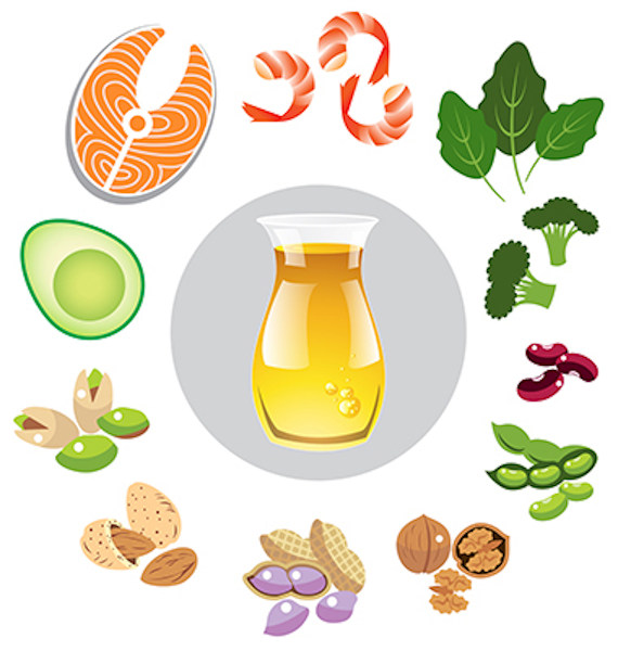 Ilustração representando fontes alimentares de ácidos graxos.
