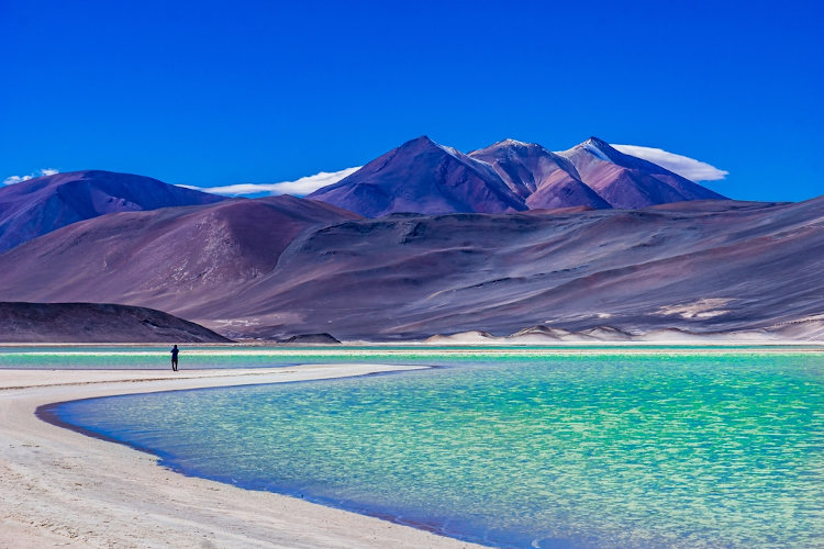 Salar de Tara, no deserto do Atacama, Chile, na cordilheira dos Andes.