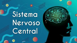 "Sistema Nervoso Central" escrito ao lado de ilustração de uma cabeça humana com um cérebro iluminado