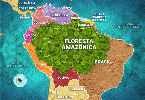 Clima e Vegetação Do Brasil, PDF, Floresta Amazônica