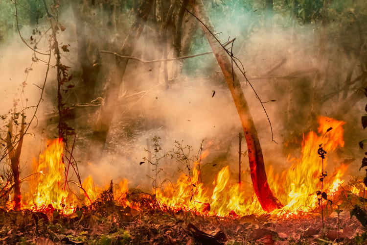 Incêndio na Floresta Amazônica, um dos vários problemas ambientais que ocorrem na região.