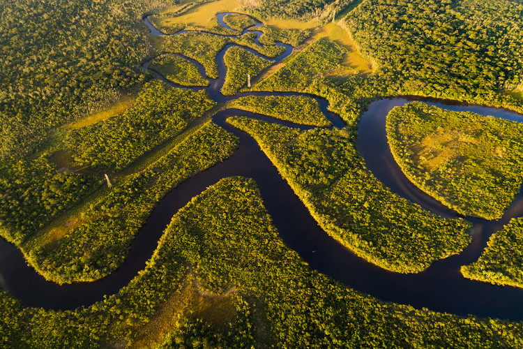  Vista superior da Floresta Amazônica como representação da dimensão de sua importância.