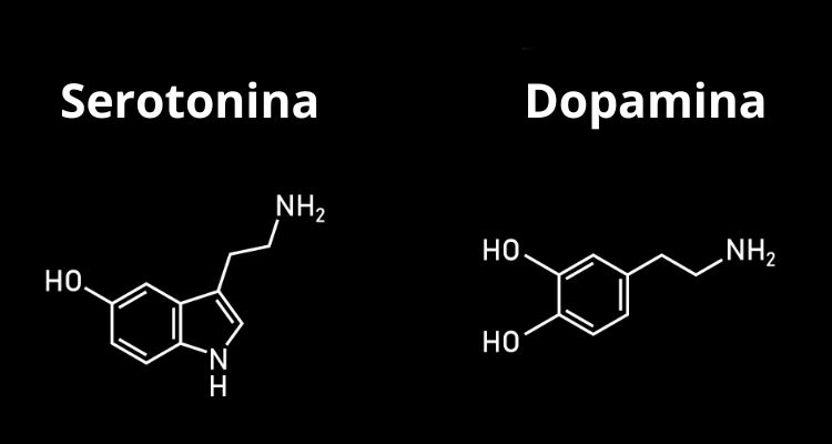 Fórmulas químicas da serotonina e da dopamina 