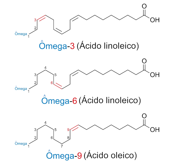 Ácidos graxos ômega: linolênico (ômega-3), linoleico (ômega-6) e oleico (ômega-9)
