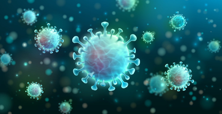 Representação gráfica do coronavírus como ilustração da questão sobre vírus serem ou não seres vivos.