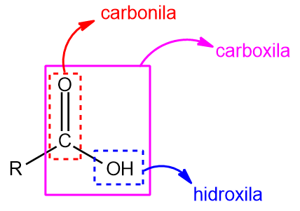 Estrutura geral do ácido carboxílico.