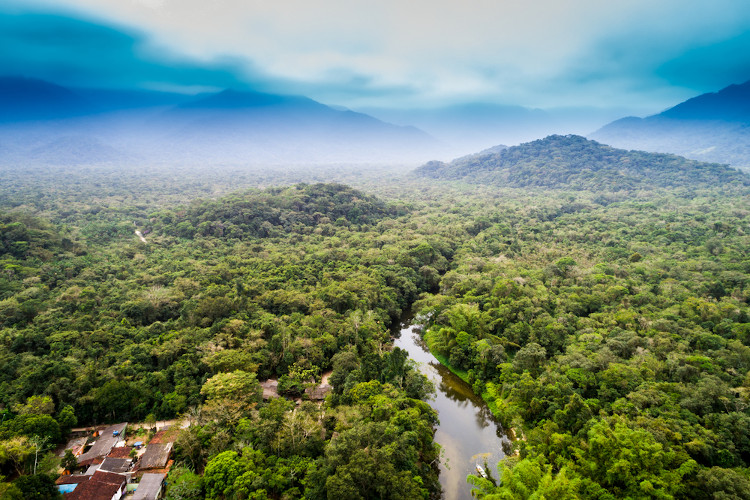 Floresta Amazônica, localizada na América do Sul, como principal exemplo de floresta equatorial.