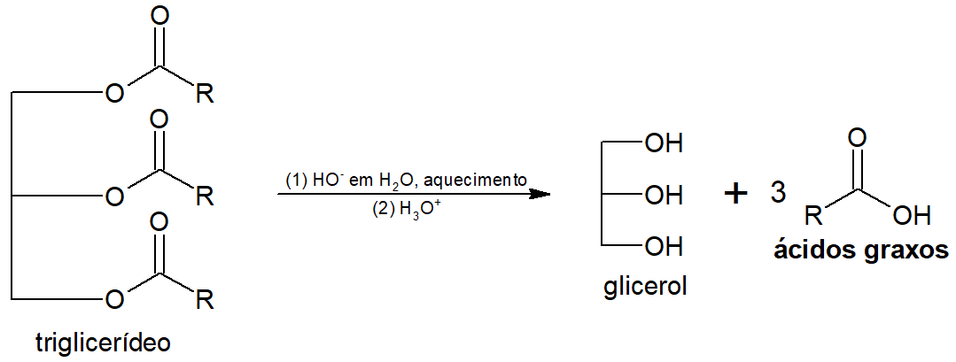 Reação de obtenção de ácido graxo a partir de um triglicerídeo.