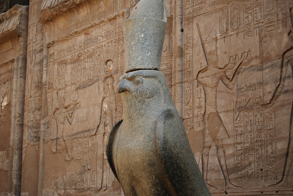 Estátua de um falcão no Templo de Edfu ou Templo de Hórus, no Egito.