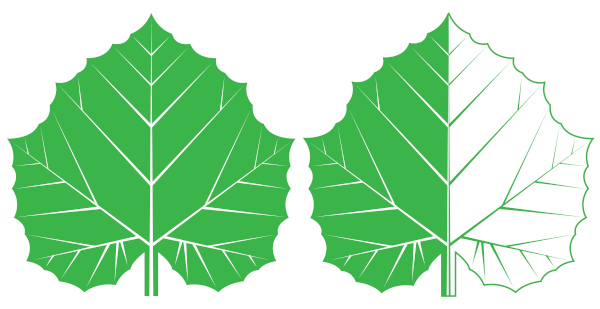 Desenho de duas folhas em um exemplo de simetria.