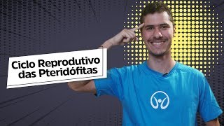 "Ciclo Reprodutivo das Pteridófitas" escrito sobre fundo cinza ao lado da imagem do professor
