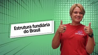 "Estrutura fundiária do Brasil" escrito sobre fundo verde ao lado da imagem do professor