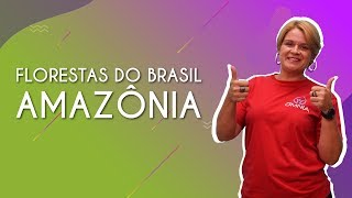 "Florestas do Brasil: Amazônia" escrito sobre fundo colorido ao lado da imagem da professora