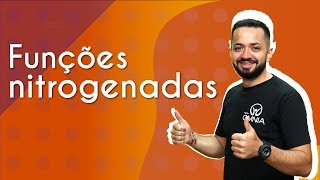 Professor ao lado do escrito "Funções nitrogenadas".