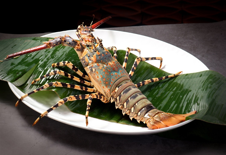 Lagosta, um tipo de crustáceo, em prato.