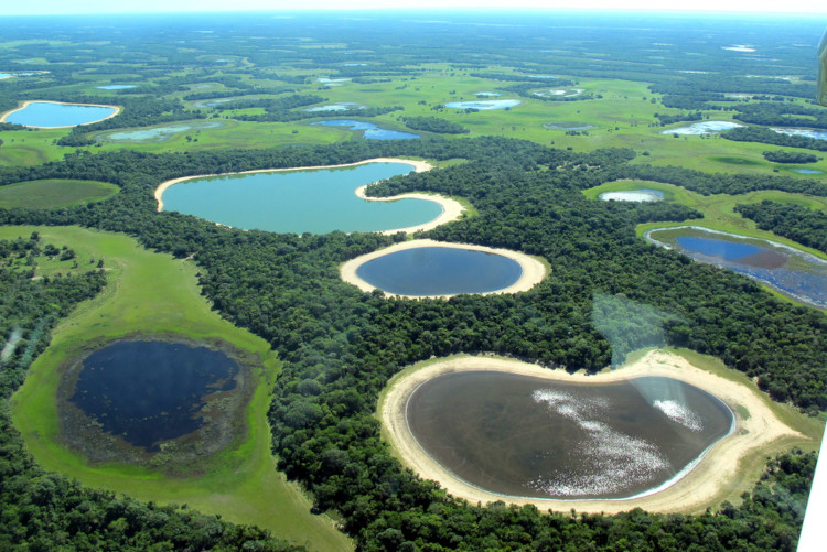 Vista aérea do Pantanal representando um ecossistema, um dos níveis de organização em Biologia.
